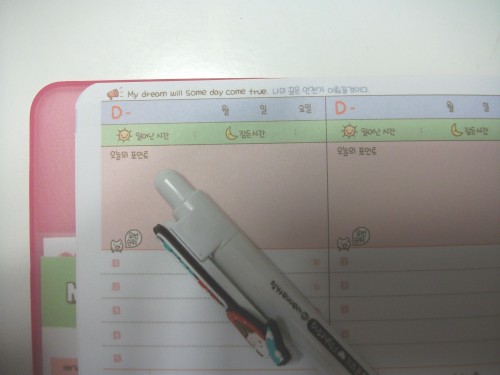 articoli cancelleria,diario,diary,ebay,kawaii,kawaii stastionery,korean stationery,momoi,momoi version 1 shopping,stickers,study planner