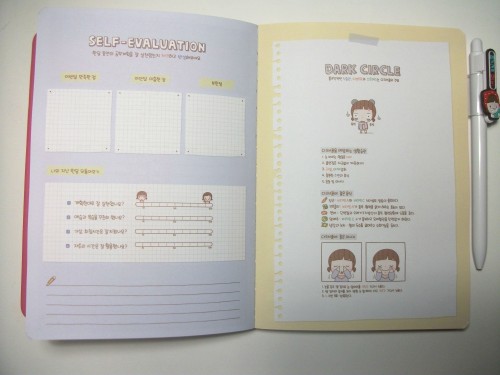 articoli cancelleria,diario,diary,ebay,kawaii,kawaii stastionery,korean stationery,momoi,momoi version 1 shopping,stickers,study planner